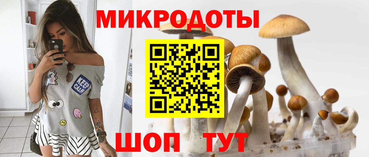 Галлюциногенные грибы Psilocybine cubensis Нижневартовск